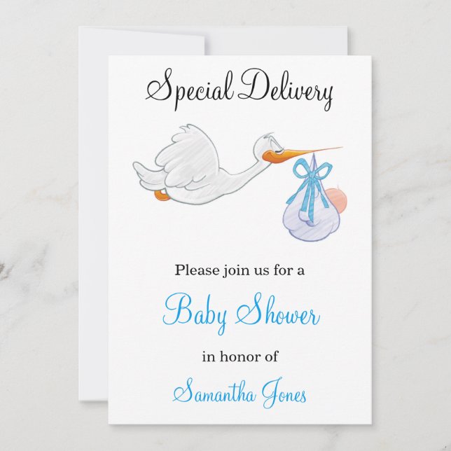 Special Delivery Stork Baby Shower Invitation (Front)