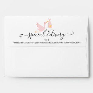 Special Delivery Stork Baby Shower Sprinkle Pink Envelope