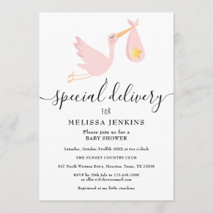 Special Delivery Stork Pink Baby Shower Sprinkle Invitation