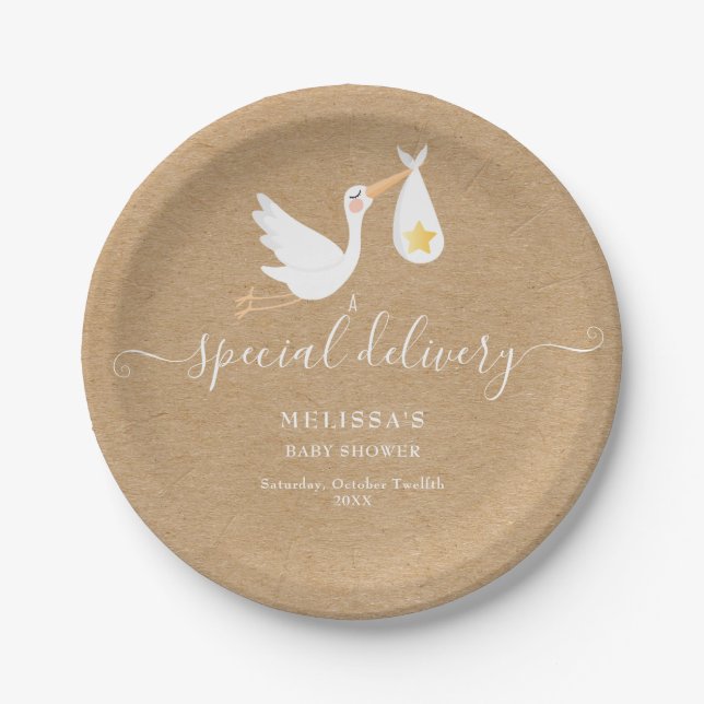 Special Delivery Stork Star Baby Shower Rustic Paper Plate (Front)