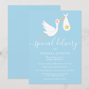 Special Delivery Stork Star Baby Shower Sprinkle Invitation