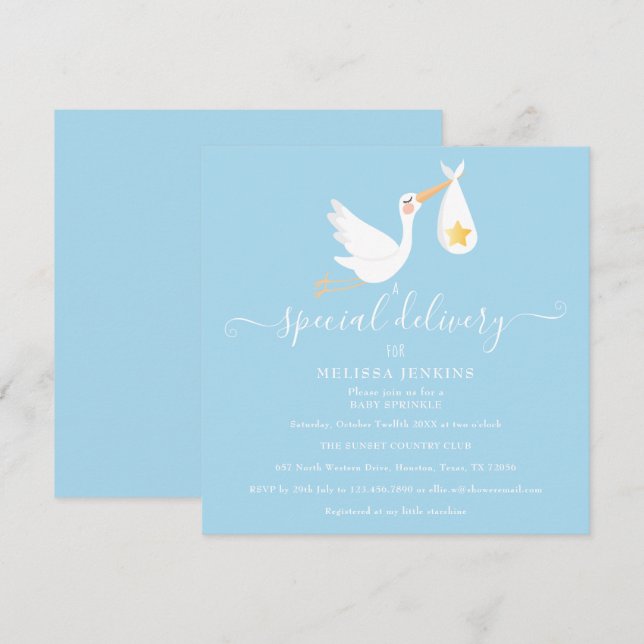 Special Delivery Stork Star Baby Sprinkle Shower Invitation (Front/Back)