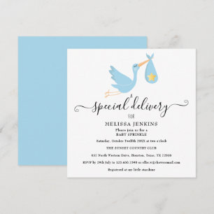 Special Delivery  Stork Star Baby Sprinkle Shower Invitation