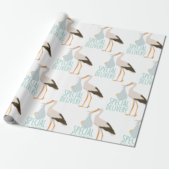 Special Delivery Stork Wrapping Paper (Unrolled)