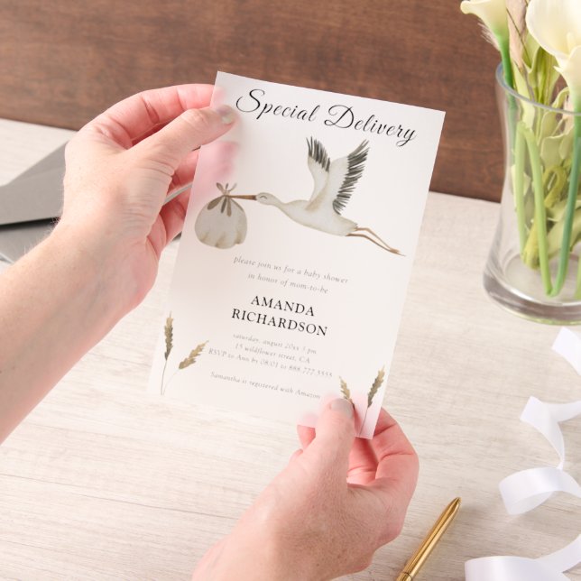 Special Delivery Watercolor Stork Baby Shower Vellum Invitations (Handheld)