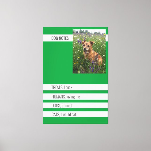 Special Dog Notes Poster Canvas Print (Front)