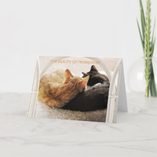 SPECIAL FRIEND HAPPY BIRTHDAY  CARD