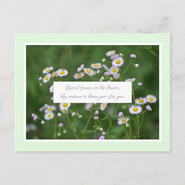 Special Friendship Postcard (Front)