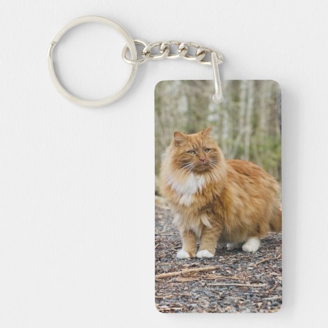 Special Kitty Nemo Keychain (Front)