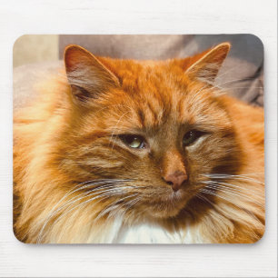 Special Kitty Nemo Mousepad