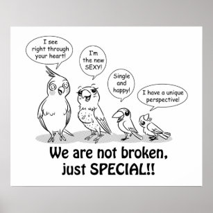 Special need birds poster