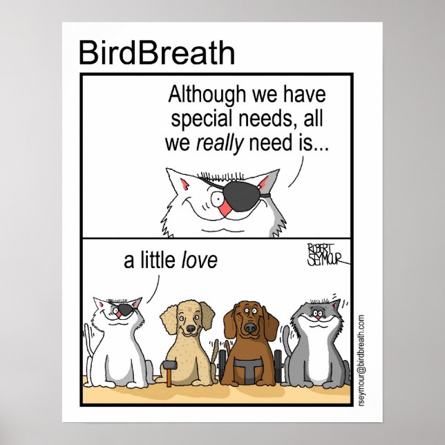 Special Needs Poster (Front)