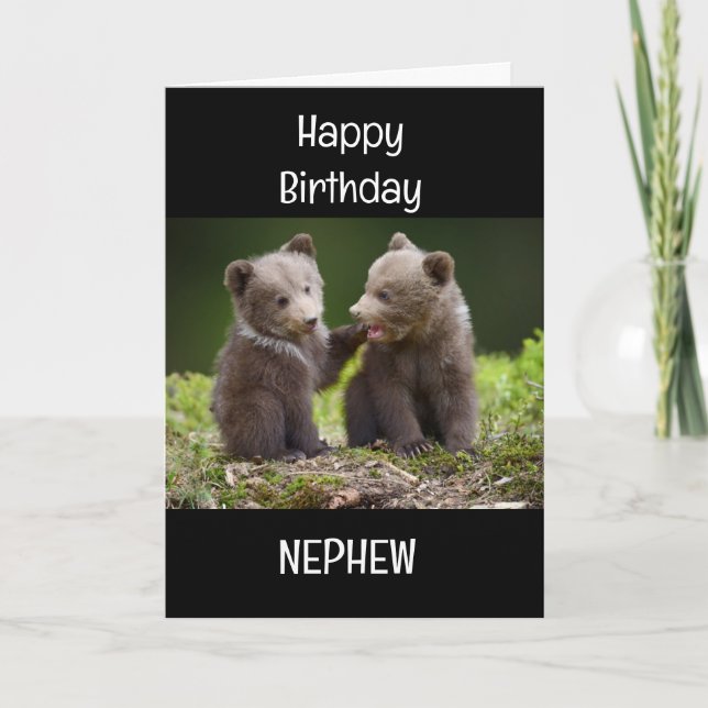 SPECIAL *NEPHEW* ON YOUR BIRTHDAY! CARD (Front)