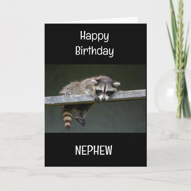 SPECIAL *NEPHEW* ON YOUR BIRTHDAY! CARD (Front)