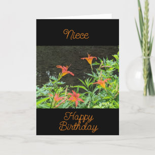 SPECIAL *NIECE* BIRTHDAY CARD