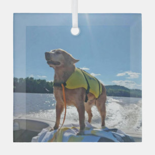 Special Order Carol B Golden Retriever  Glass Tree Decoration