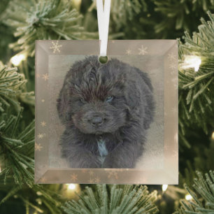 Special Order Carol B Gray Puppy Glass Ornament