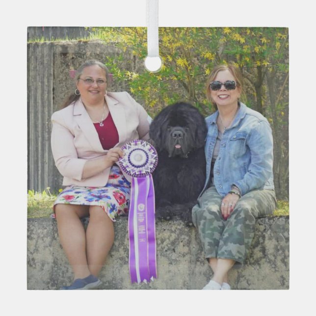 Special Order for Carol B Glass Ornament (Front)