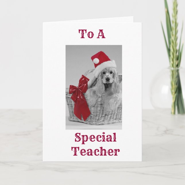 SPECIAL TEACHER GETS SPANIEL WISHES AT CHRISTMAS HOLIDAY CARD (Front)