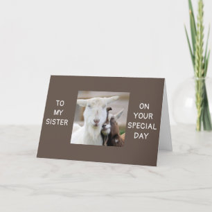 *SPECIAL TO ME & YOU ARE SPECIAL SISTER* CARD