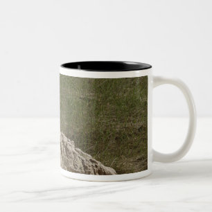 Specialist climbs down Two-Tone coffee mug