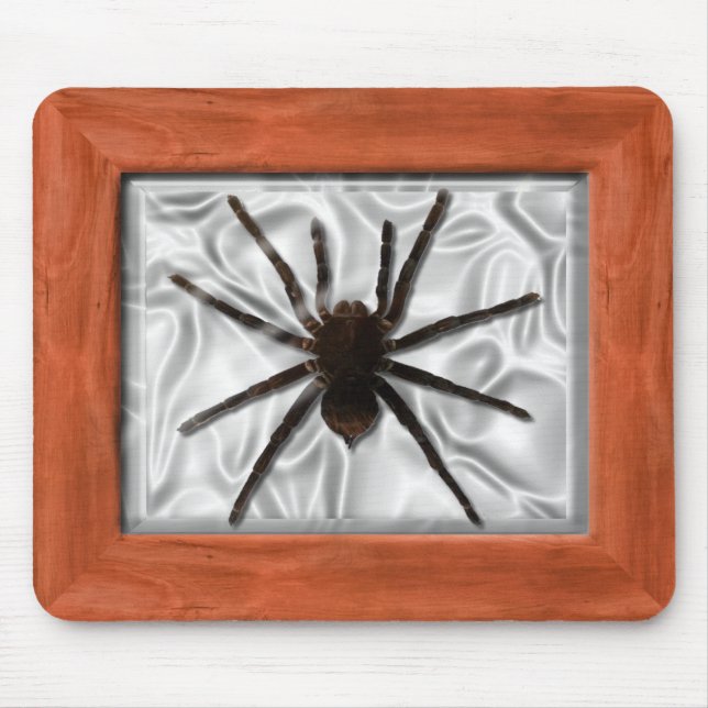Specimen Box - Tarantula Mouse Mat (Front)