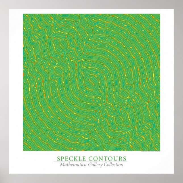 Speckle Contours Poster (Front)