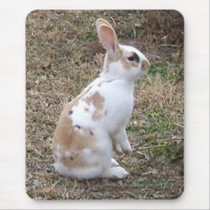 Speckled Bunny Rabbit... Mouse Mat