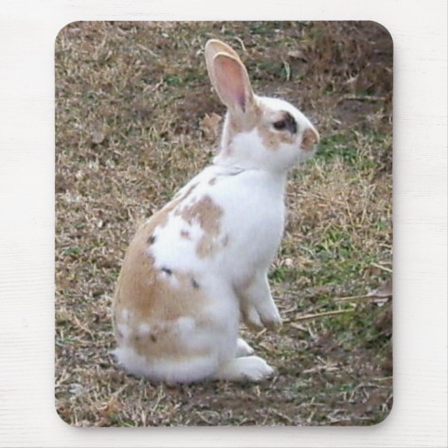 Speckled Bunny Rabbit... Mouse Mat (Front)