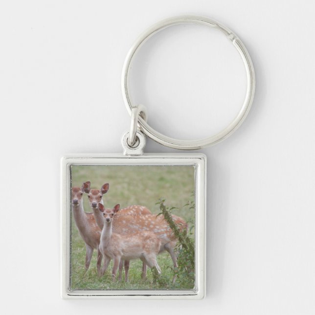 Speckled Deer with Fawn Key Ring (Front)