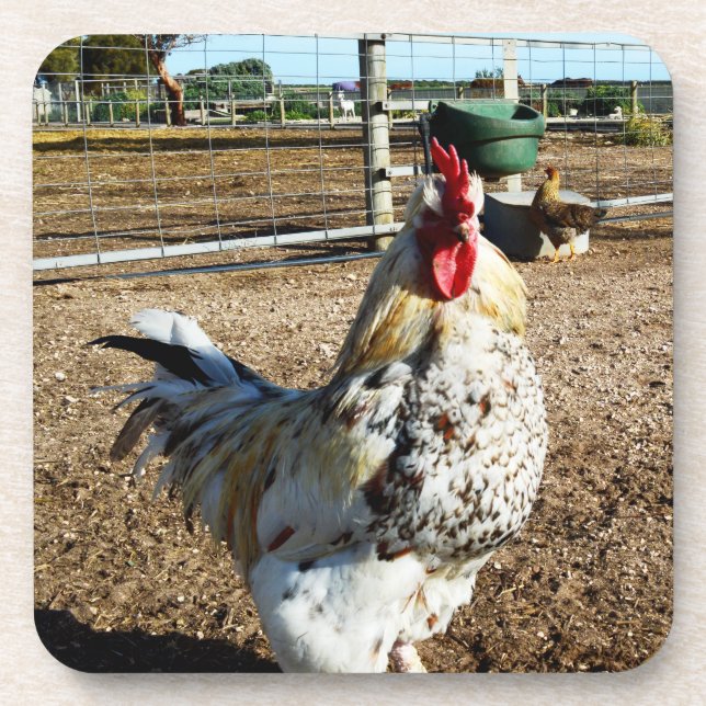 Speckled Rooster On Farm, Coasters (Front)
