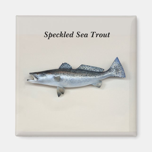 Speckled Sea Trout Magnet (Front)