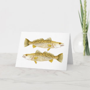 Speckled Seatrout Card
