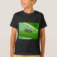 Speckled Sharpshooter Leaf Hopper Items