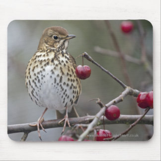 Speckled Songster Mousemat