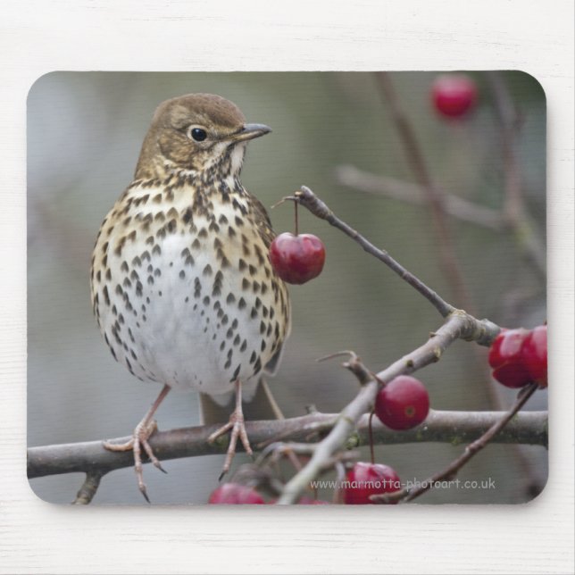 Speckled Songster Mousemat (Front)