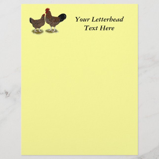 Speckled Sussex Chickens (Front)
