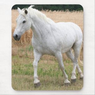 Speckled White Horse Mouse Mat