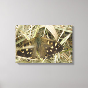 Speckled Wood Butterfly Canvas Print