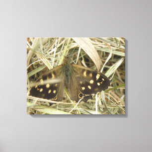 Speckled Wood Butterfly Canvas Print