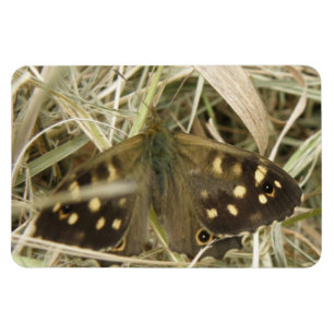 Speckled Wood Butterfly Premium Magnet
