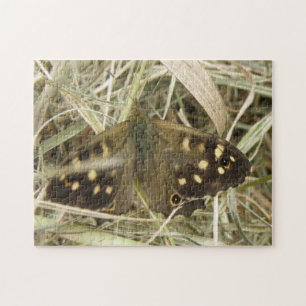 Speckled Wood Butterfly Puzzle