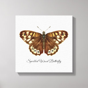 Speckled Wood Butterfly Watercolor Painting Canvas