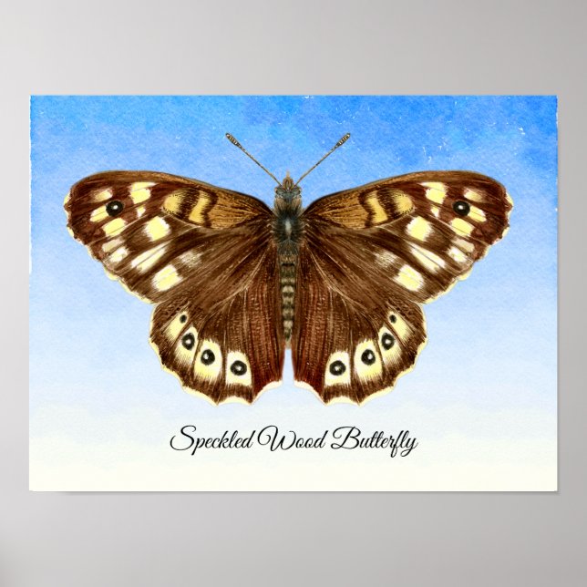 Speckled Wood Butterfly Watercolor Painting Poster (Front)