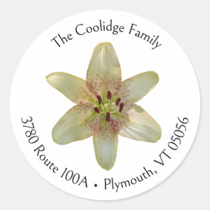 Speckled Yellow Lily Flower Round Address Label