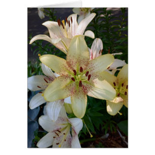 Speckled Yellow Lily Flowers Blank Card