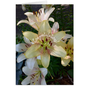 Speckled Yellow Lily Flowers Congratulations Card