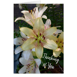 Speckled Yellow Lily Flowers Thinking of You Card