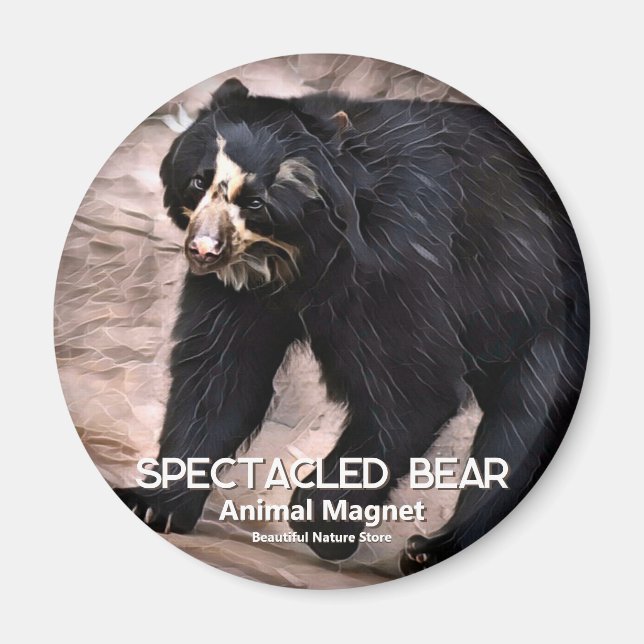 Spectacled Bear マグネット Magnet (Front)