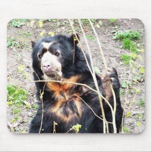 Spectacled bear mouse mat